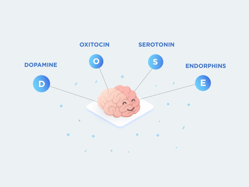 Гормоны счастья: дофамин, окситоцин, серотонин и эндорфины