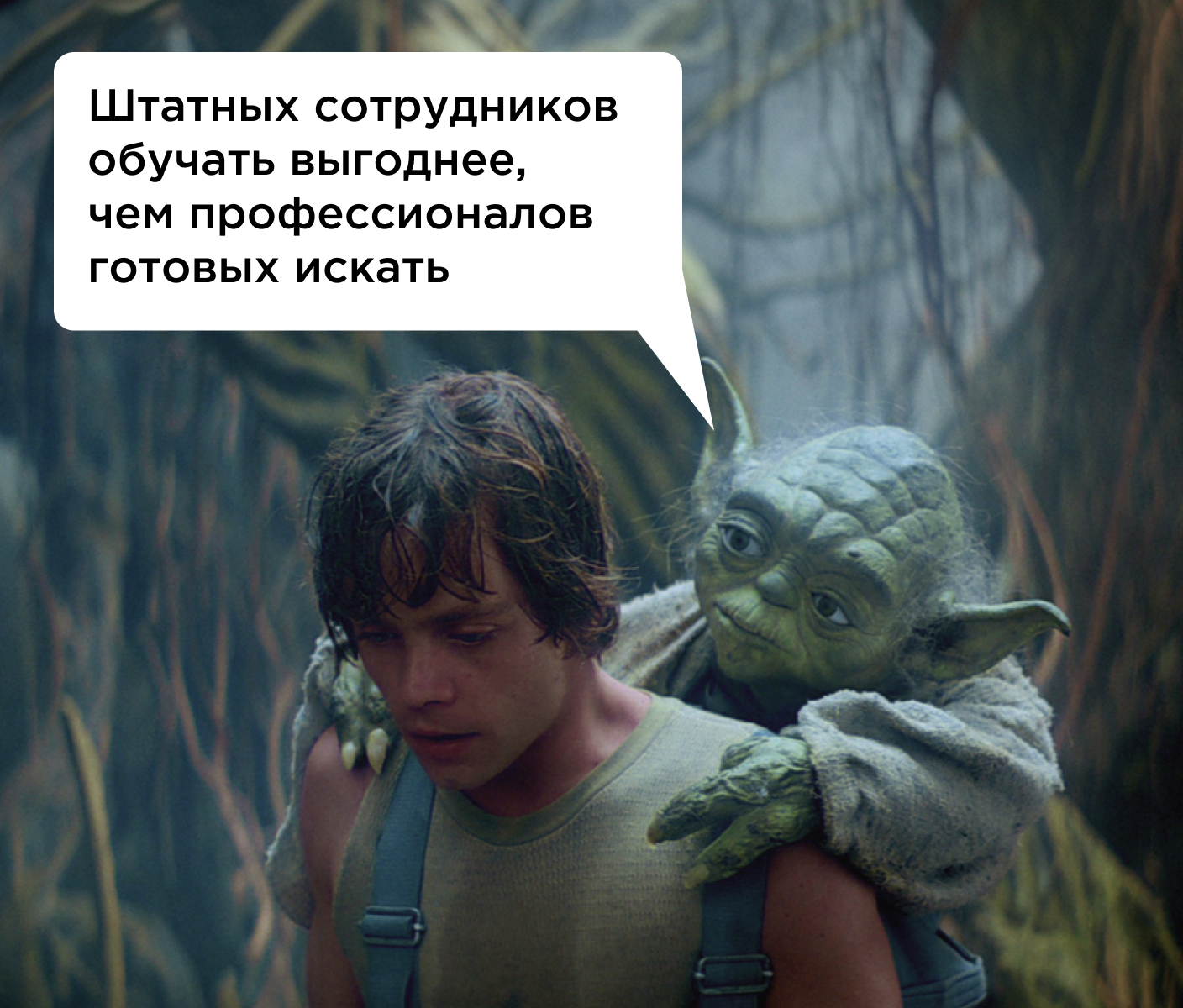 Штатные сотрудники проходят обучение