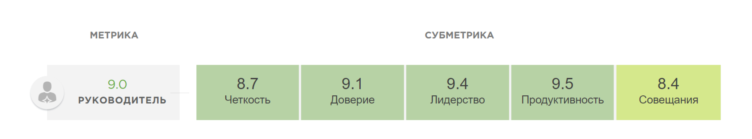 Субметрики метрики «Руководитель»