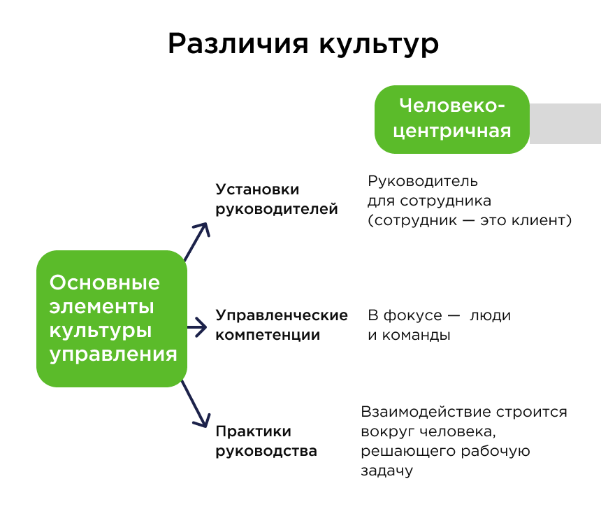 Разница культур управления