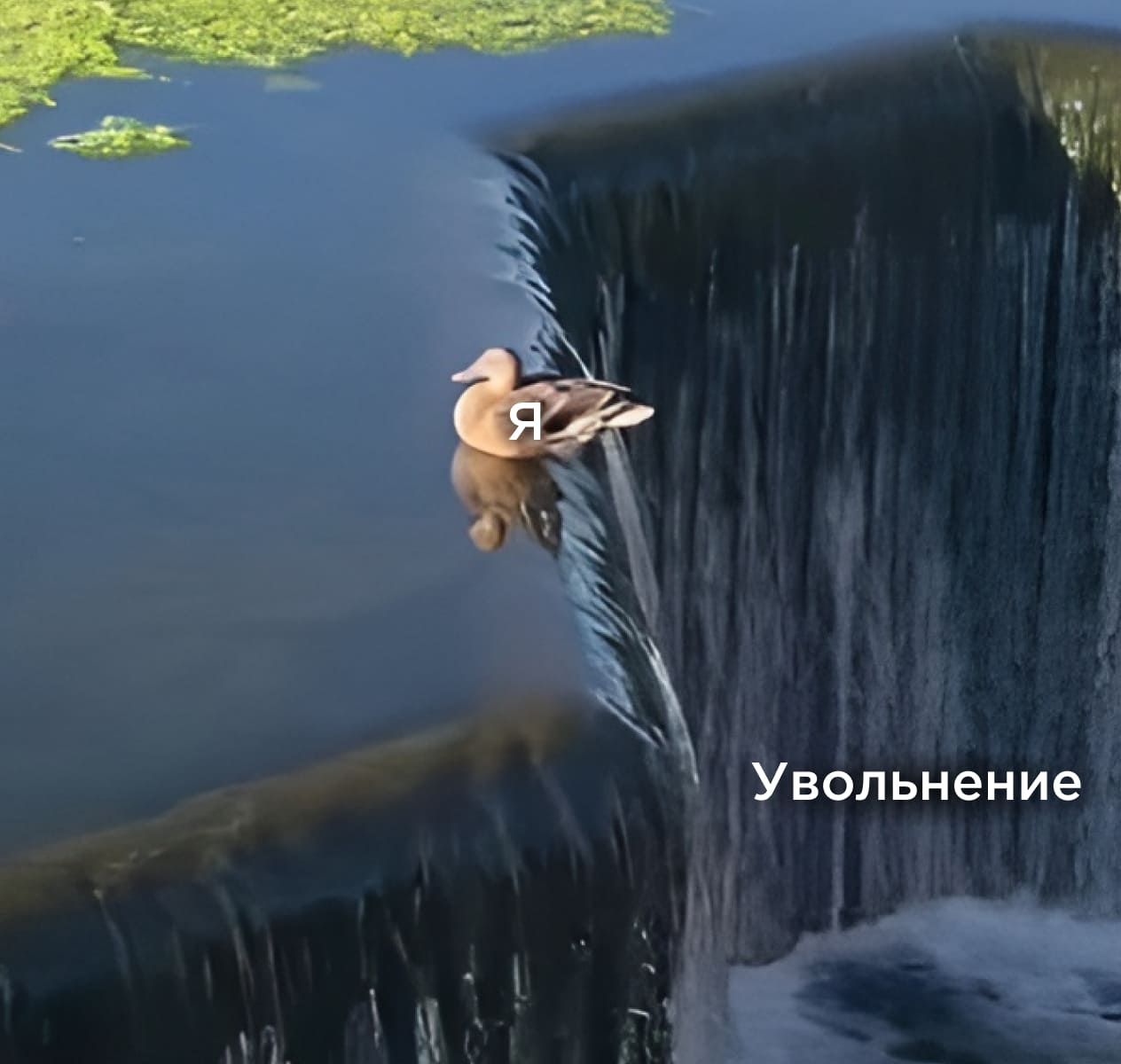 Выгорание сотрудников Выгорание сотрудников