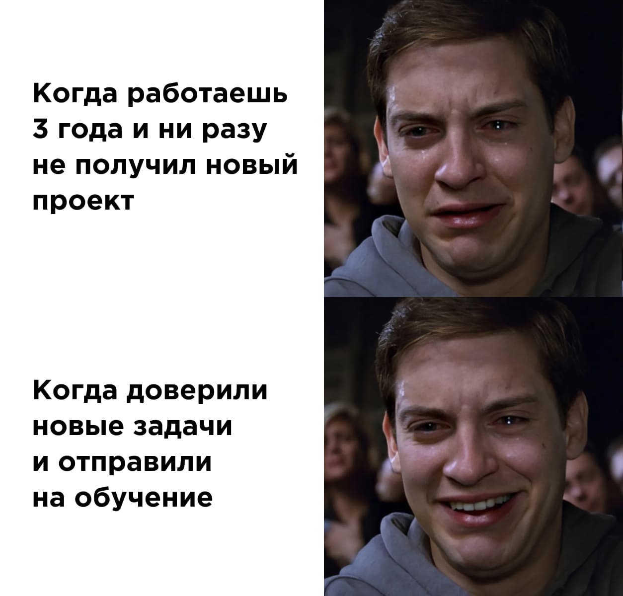 Каждому сотруднику требуется развитие