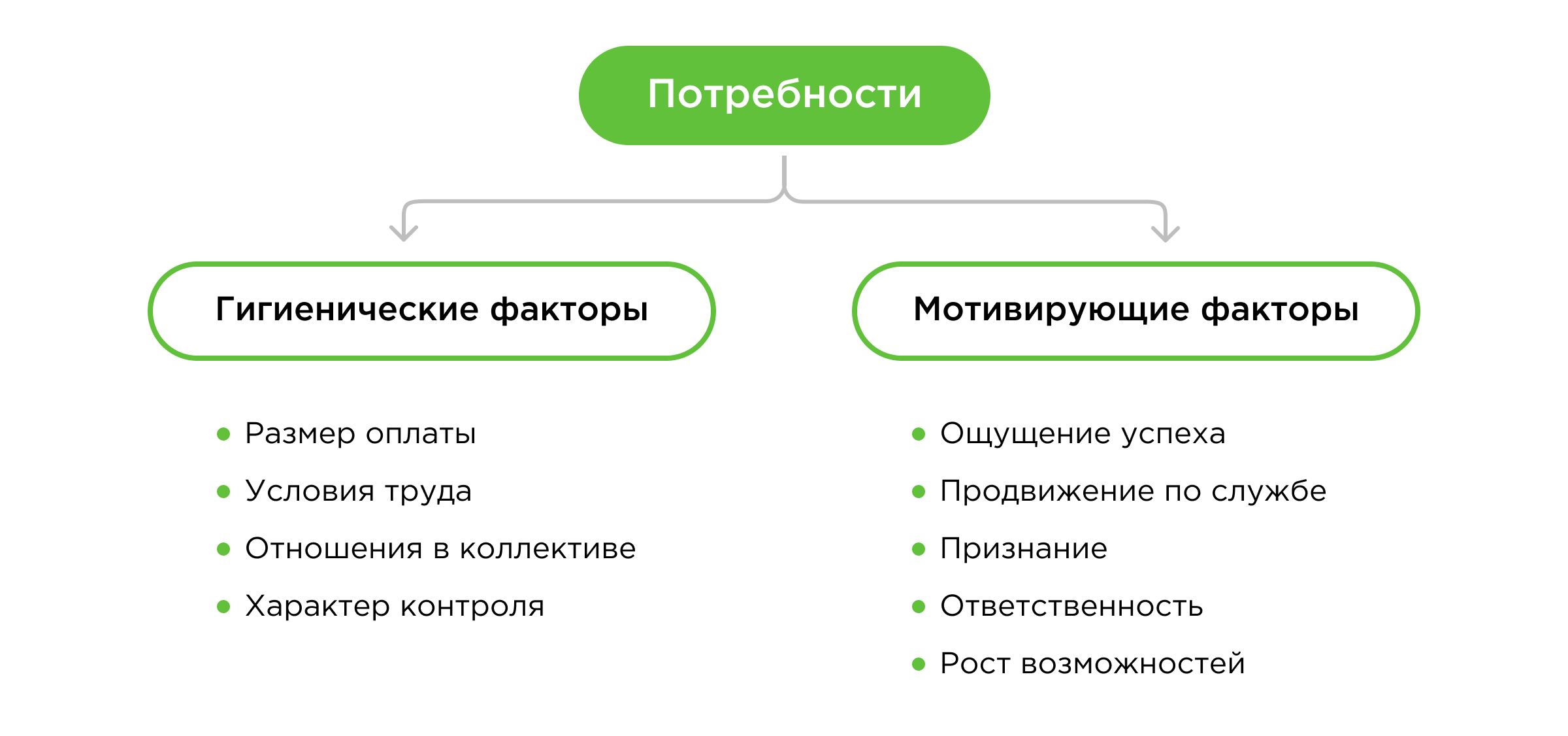 Теория мотивации Герцберга Теория мотивации Герцберга