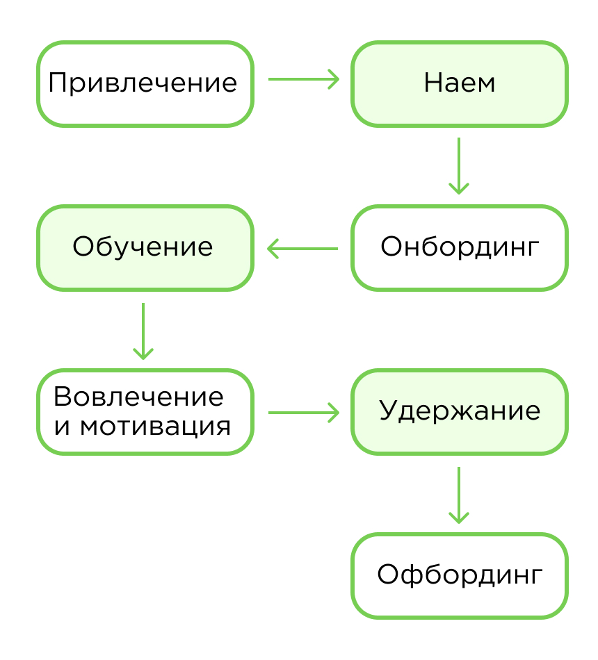 Жизненный цикл сотрудника в компании