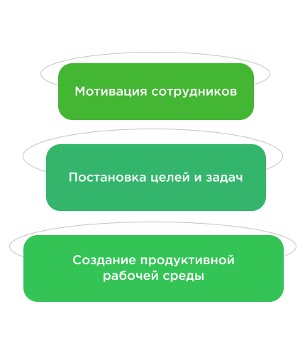 Линейные и функциональные руководители